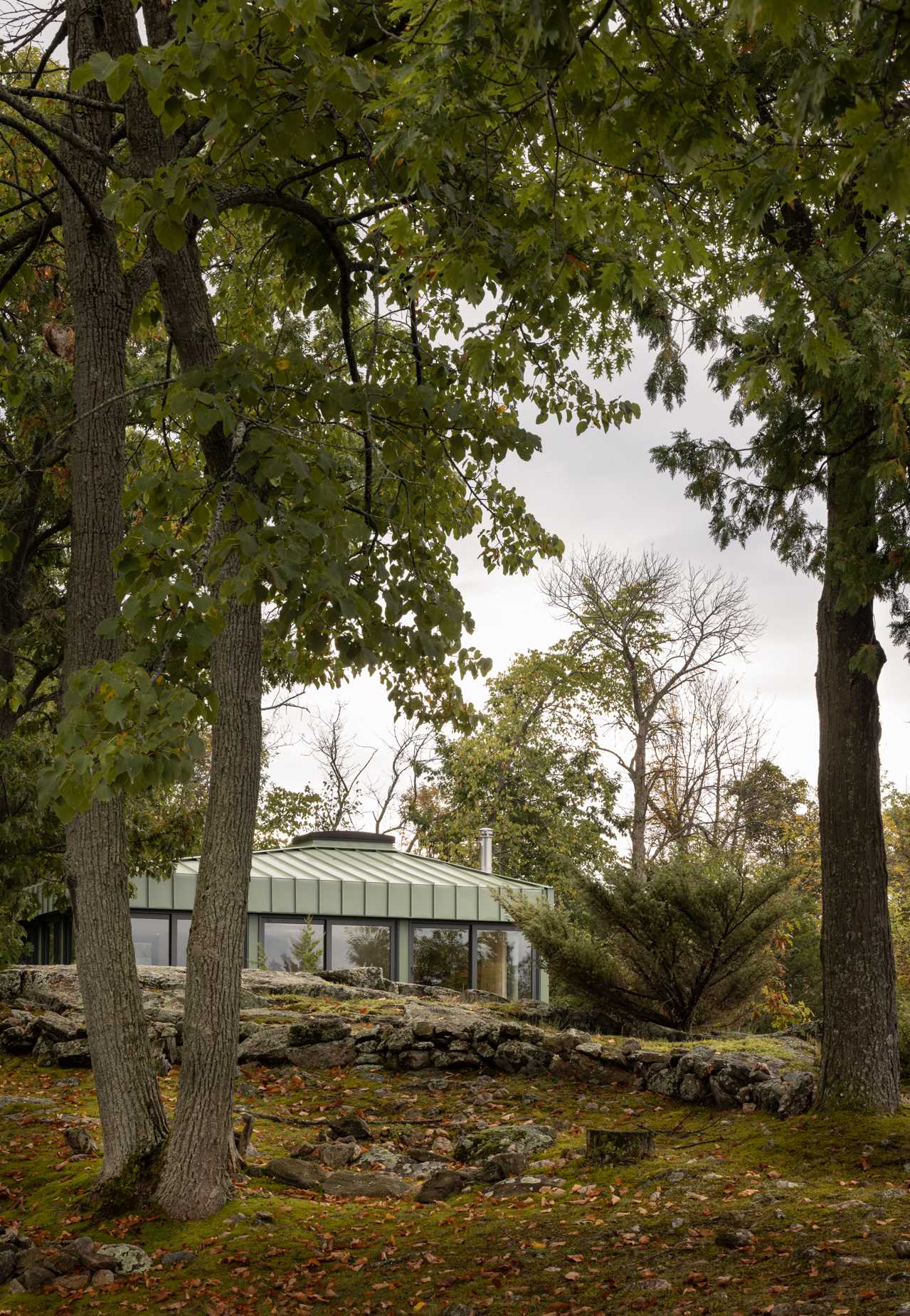 A modern cabin clad in sage green standing seam metal siding.